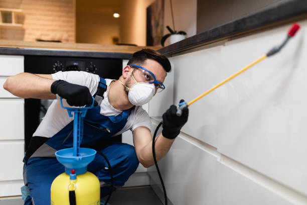 Best Pest Removal Services  in Seneca, SC