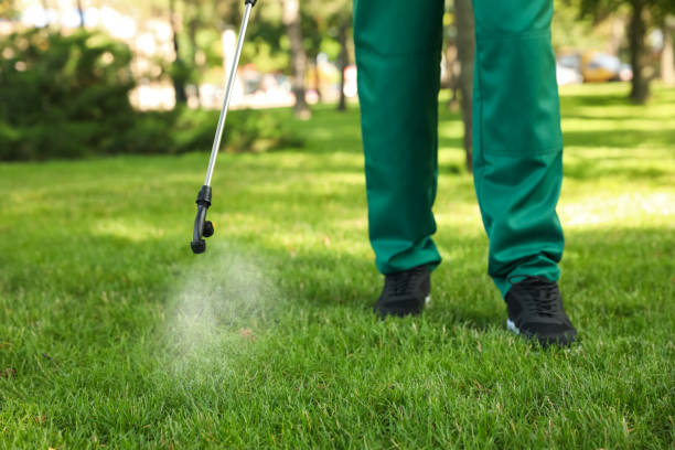 Professional Pest Control in Seneca, SC